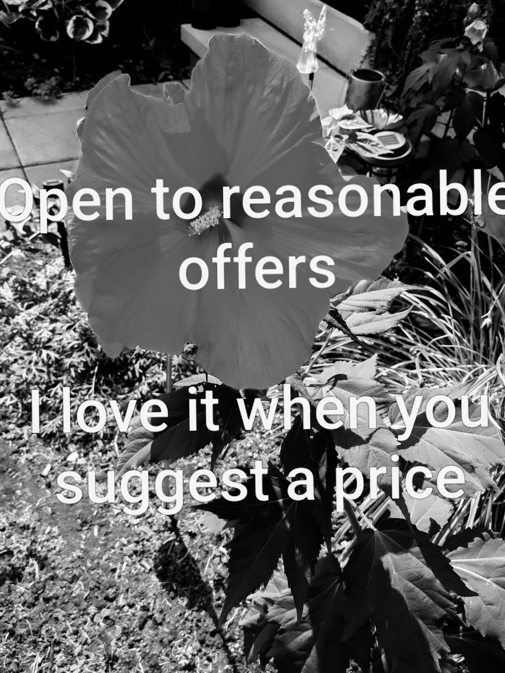 Open To Reasonable Offers